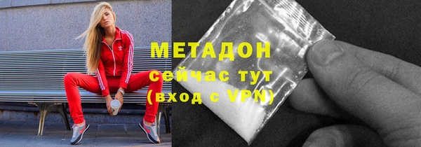 прущие грибы Бородино