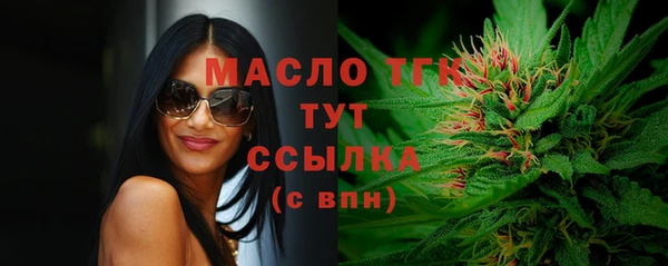 крисы Верхний Тагил
