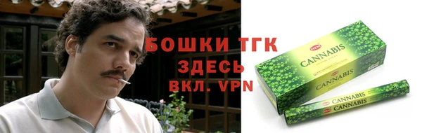 крисы Верхний Тагил