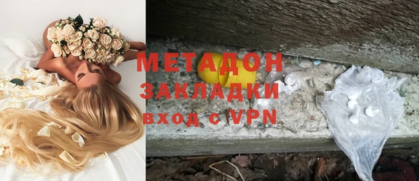 прущие грибы Бородино