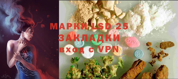 прущие грибы Бородино