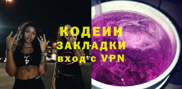 прущие грибы Бородино