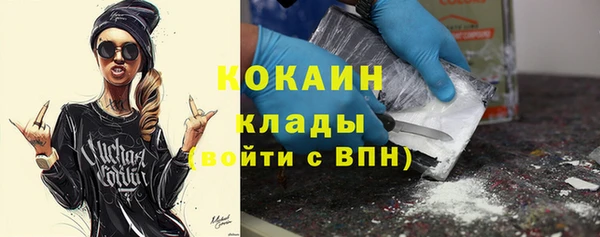 прущие грибы Бородино