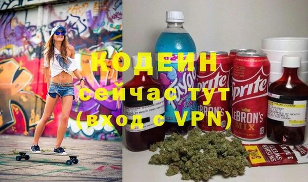 прущие грибы Бородино