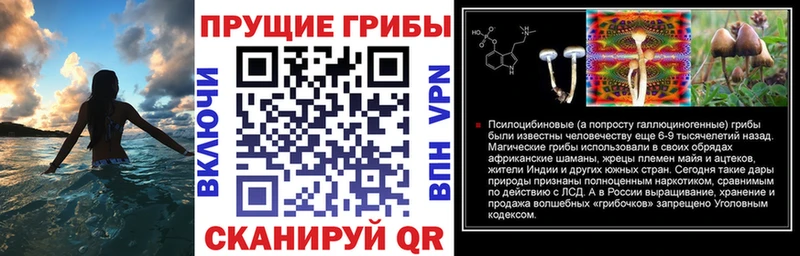 Купить закладки  Рассказово  Галлюциногенные грибы мухоморы 